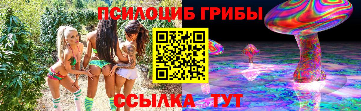 Рязань  Галлюциногенные грибы прущие грибы  Псилоцибиновые грибы мухоморы  купить  цена  Вход с VPN 